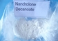 Ormone crudo di Deca Durabolin spolverizzare le nandrolone farmaceutiche Decanoate CAS 360-70-3 di Deca