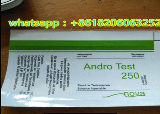 Test E Etichette Steroidi Anabolizzanti Liquido Iniezione 10 ml Etichette del flaconcino Quadratura Finitura lucida