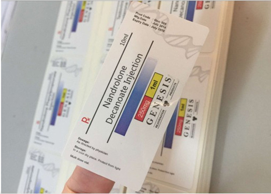 La fiala di vetro decanoato di Nand identifica la superficie di laminazione lucida di forma quadrata