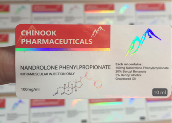 Autoadesivi adesivi su ordinazione olografici di carta 6 x 3 cm con l'angolo rotondo